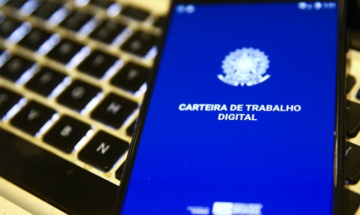 SC se destaca na criação de empregos no Brasil