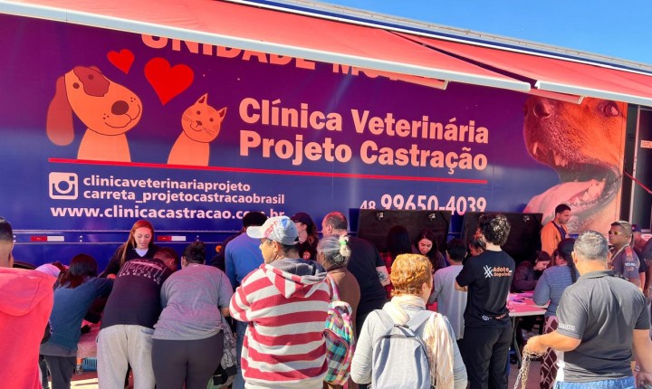 Castração gratuita mobiliza comunidade na Grande Florianópolis