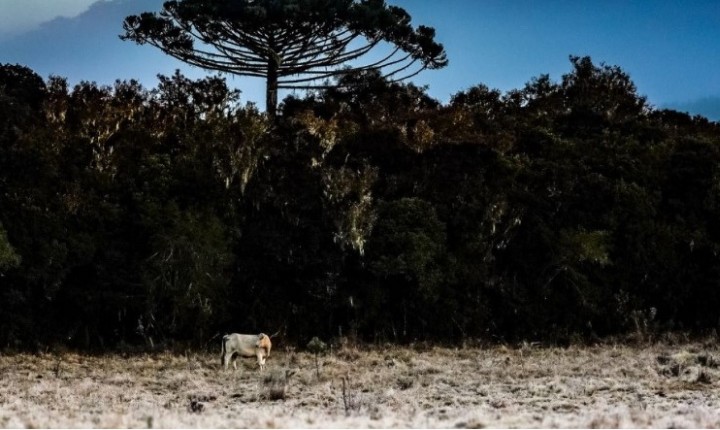 SC se prepara para possível neve no fim de semana