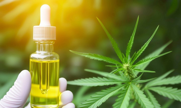 Audiência na Alesc discute acesso à cannabis