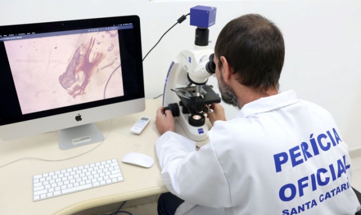 Projetos na Alesc movimentam pautas sociais e ambientais