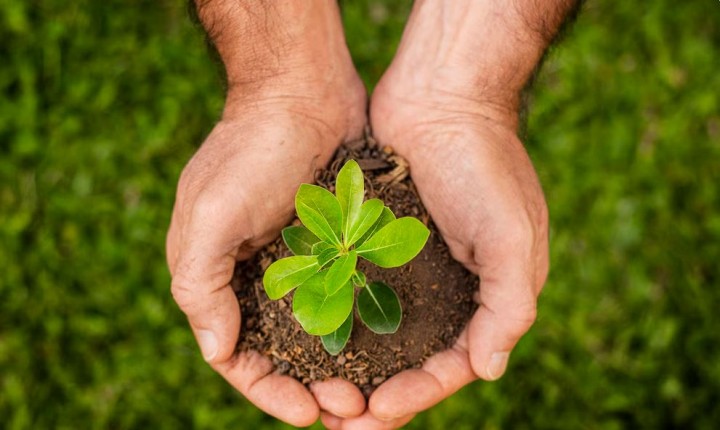 Onde fazer denúncia ambiental