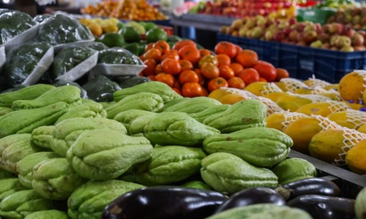 SC vira exemplo em segurança alimentar