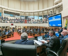 Alesc discute autismo, meio ambiente e economia solidária