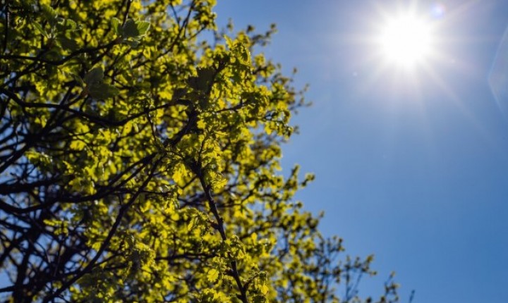 Chuva diminui e massa de ar seco atua em SC