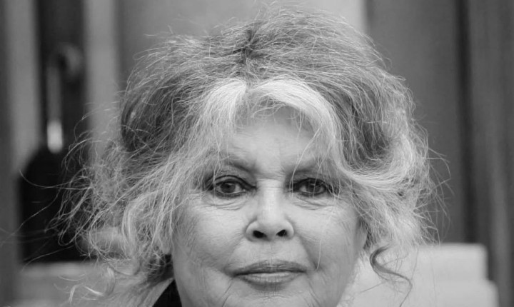 Brigitte Bardot, ícone do cinema mundial, morre aos 91 anos
