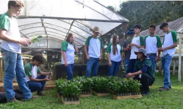 Retrospectiva 2025: Epagri fortalece presença no campo e na educação