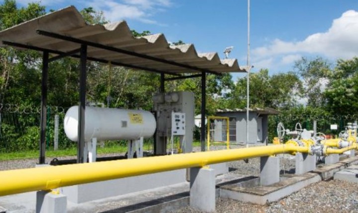 Gestão de suprimentos reduz custo do gás em SC