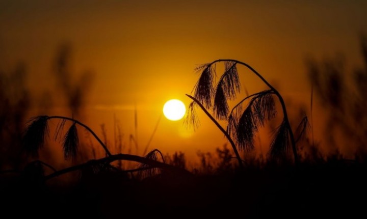 Fim de semana terá sol e calor em SC