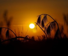 Fim de semana terá sol e calor em SC
