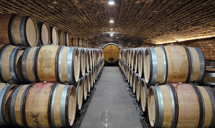 MUNDO DOS VINHOS: Gevrey-Chambertin: Structure avec élégance, por Eduardo Araújo