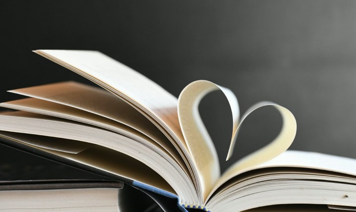 LITERATURA :  “Fabiano” e a sala de aula, por Luzia Almeida