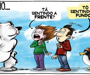 Frio polar atinge Florianópolis