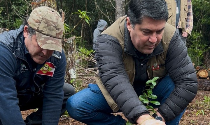 Parque do Rio Vermelho inicia restauração com espécies nativas