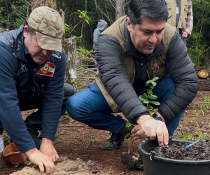 Parque do Rio Vermelho inicia restauração com espécies nativas