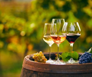 Brinde à queda da bastilha com 4 vinhos franceses
