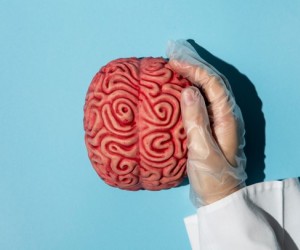 Hábitos simples para ter um cérebro saudável