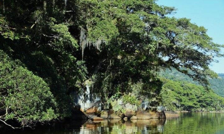 Imersão na Natureza - entre viagens e reflexões, por Fernando Teixeira
