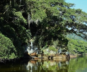 Imersão na Natureza - entre viagens e reflexões, por Fernando Teixeira