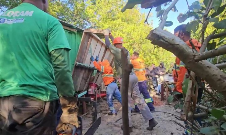 Casa irregular é demolida em área de preservação