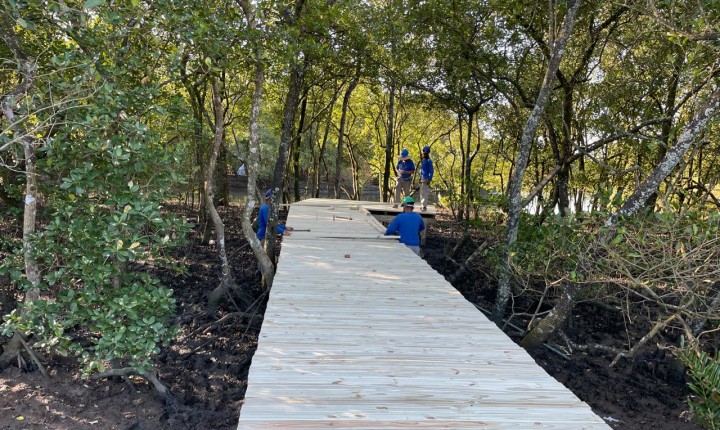 Nova passarela transforma acesso ao Manguezal do Itacorubi