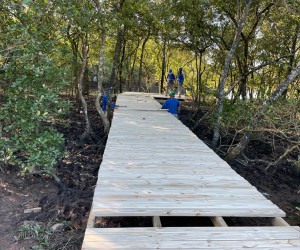 Nova passarela transforma acesso ao Manguezal do Itacorubi