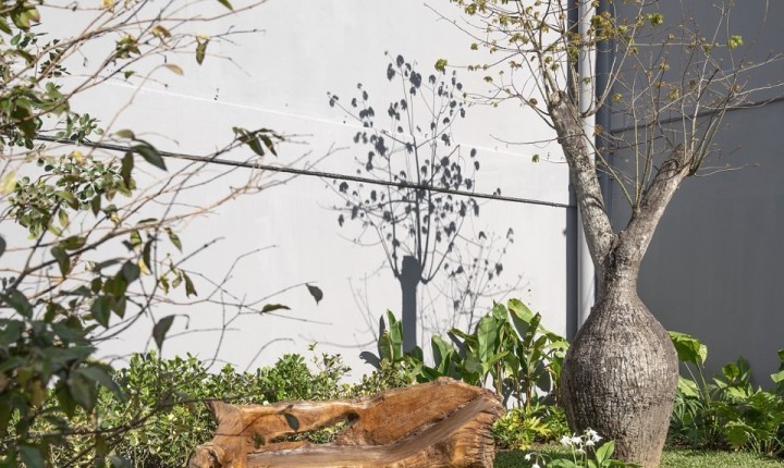 Paisagismo transforma concreto em floresta viva na CASACOR SC