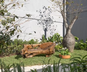 Paisagismo transforma concreto em floresta viva na CASACOR SC