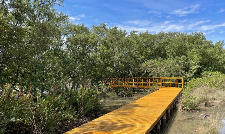 Nova passarela do Itacorubi reconecta cidade e natureza