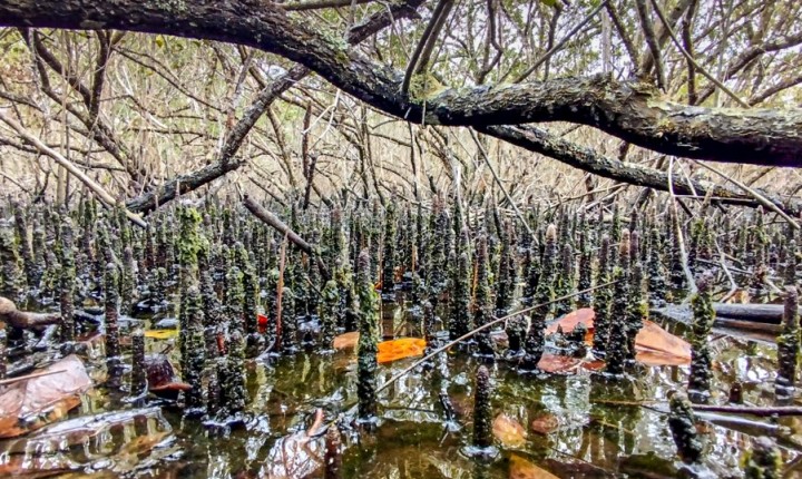 Fotografia contemplativa desperta novos olhares sobre o cotidiano