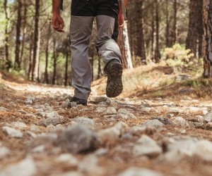 Trilha da Lagoinha do Leste: como chegar e o que levar para aproveitar o paraíso escondido de Florianópolis