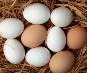 O ovo é mais nutritivo do que você imagina