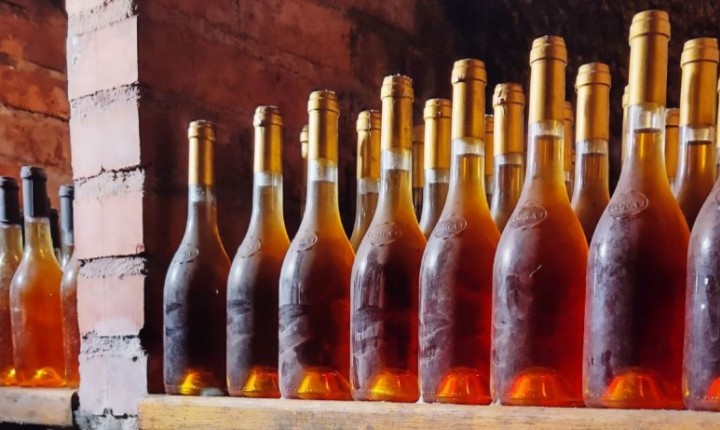 Tokaji: o Rei dos Vinhos, por Eduardo Araújo