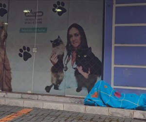 Olhares sobre a ‘vida em desequilíbrio’ marcam concurso Jacir Zimmer