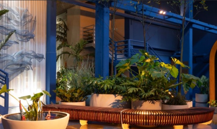 Natureza assume o protagonismo na mostra catarinense