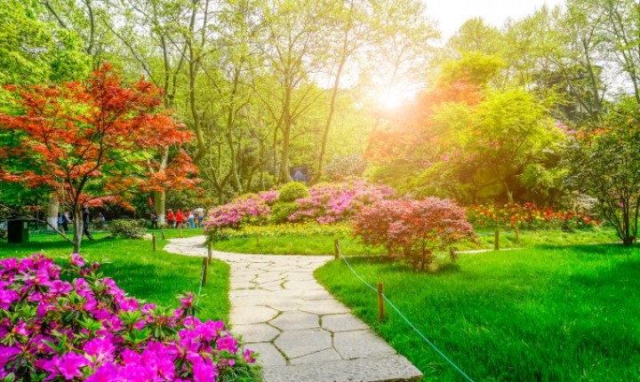 Como preparar o jardim para o verão