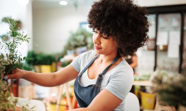 Balcão do MEI em Floripa oferece semana de oportunidade