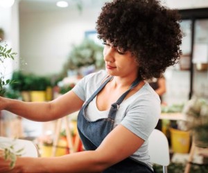 Balcão do MEI em Floripa oferece semana de oportunidade