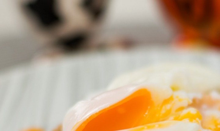 O ovo e seus encantos, por André Vasconcelos