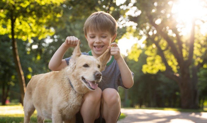 Crianças e pets aprendem juntos a linguagem do afeto