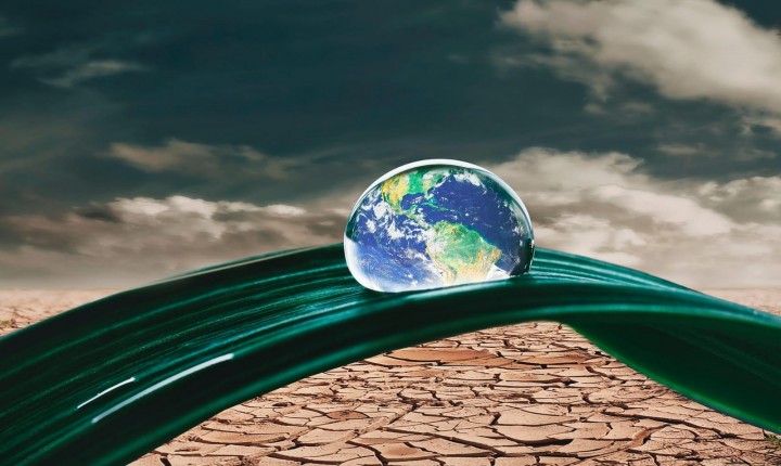 A COP30 e “A hora da estrela”, por Luzia Almeida