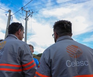 Limpeza de vegetação muda rotina na SC-406