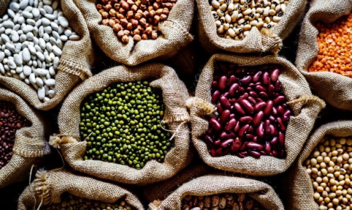 Germinação de grãos transforma a nutrição do dia a dia