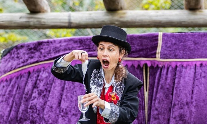 Palco Aberto Circus Fever leva circo aos bairros da Capital