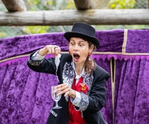 Palco Aberto Circus Fever leva circo aos bairros da Capital