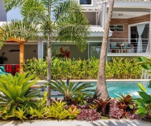 Escolha inteligente de árvores evita problemas e danos