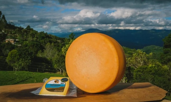 Queijaria de SC conquista prêmio e reforça identidade local