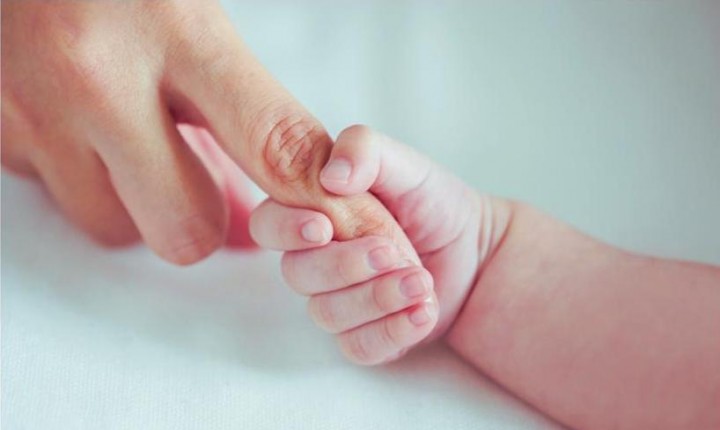 O Amor é Indivisível, por Denise Evangelista Vieira