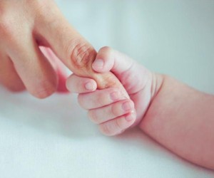 O Amor é Indivisível, por Denise Evangelista Vieira