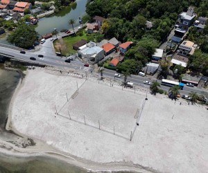 Ação ambiental fortalece restinga na prainha da Barra